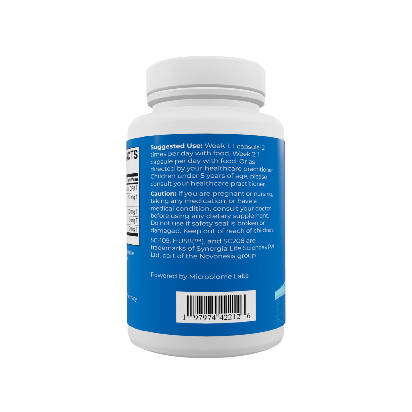 Gut Rehab