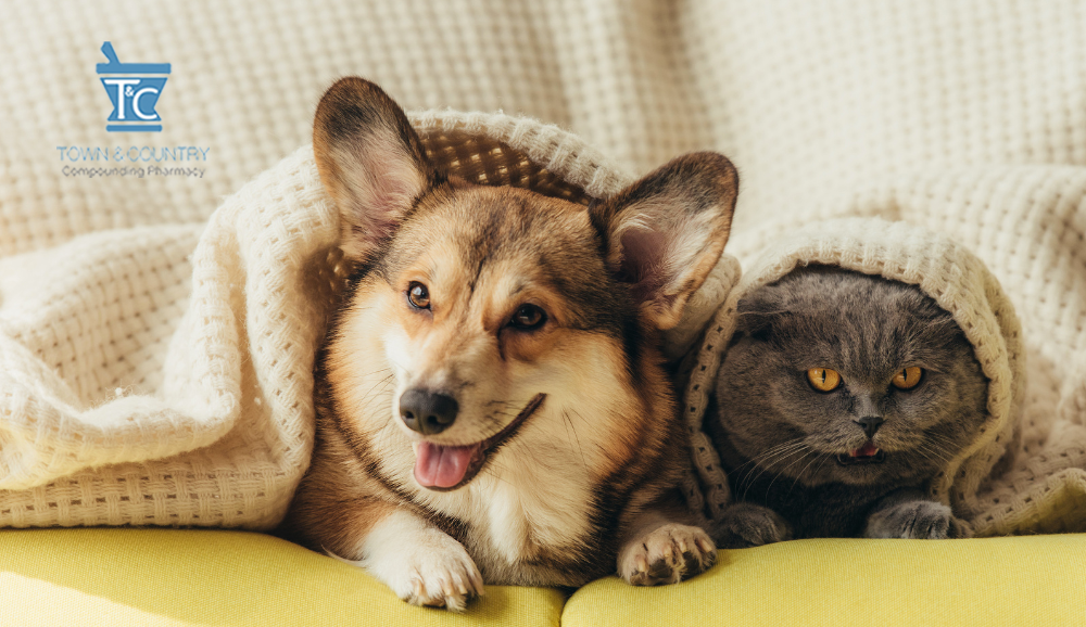 animal vet veterinarian pet compounding-pharmacy refill fill order -veterinary-pet-medications-animals-new-jersey-nyc