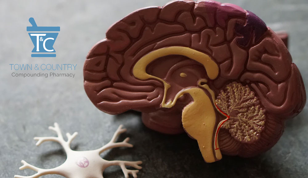 brain-health-synapsin-prescription-rx-new-jersey compounding pharmacy nyc near me