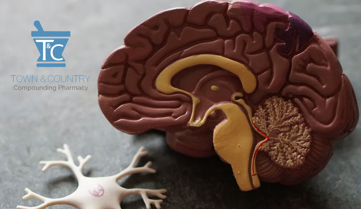 brain-health-synapsin-prescription-rx-new-jersey compounding pharmacy nyc near me