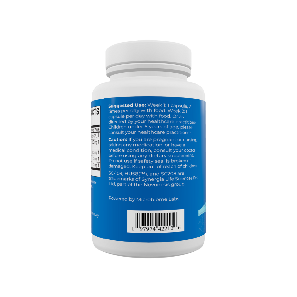 Gut Rehab