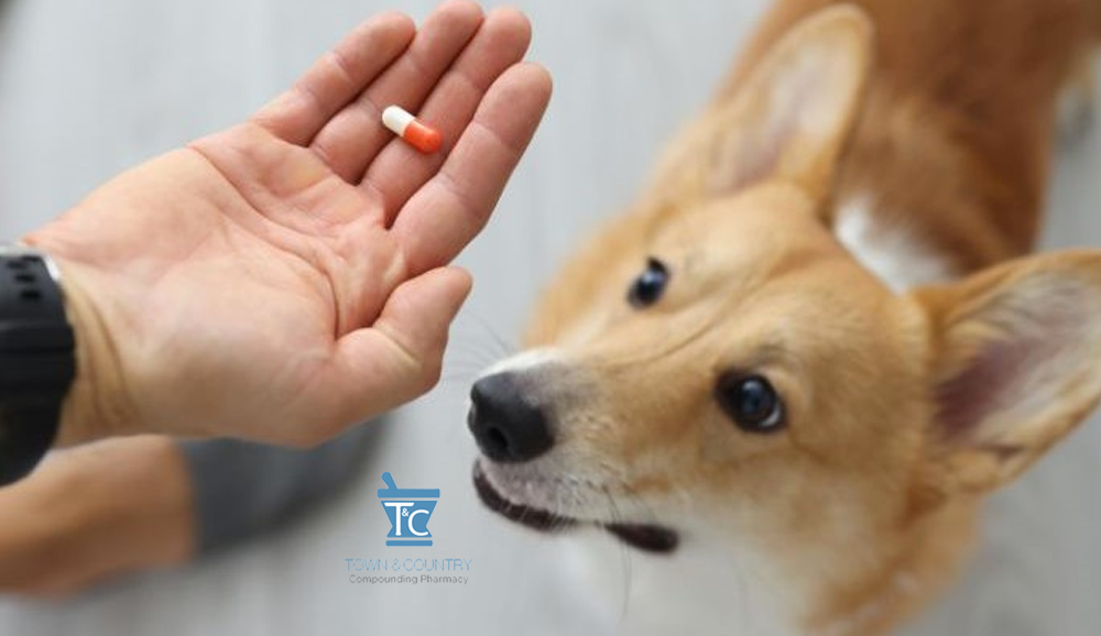 LDN in Animals- Case Studies & Stories Veterinarian vet pet compounding pharmacy prescription rx