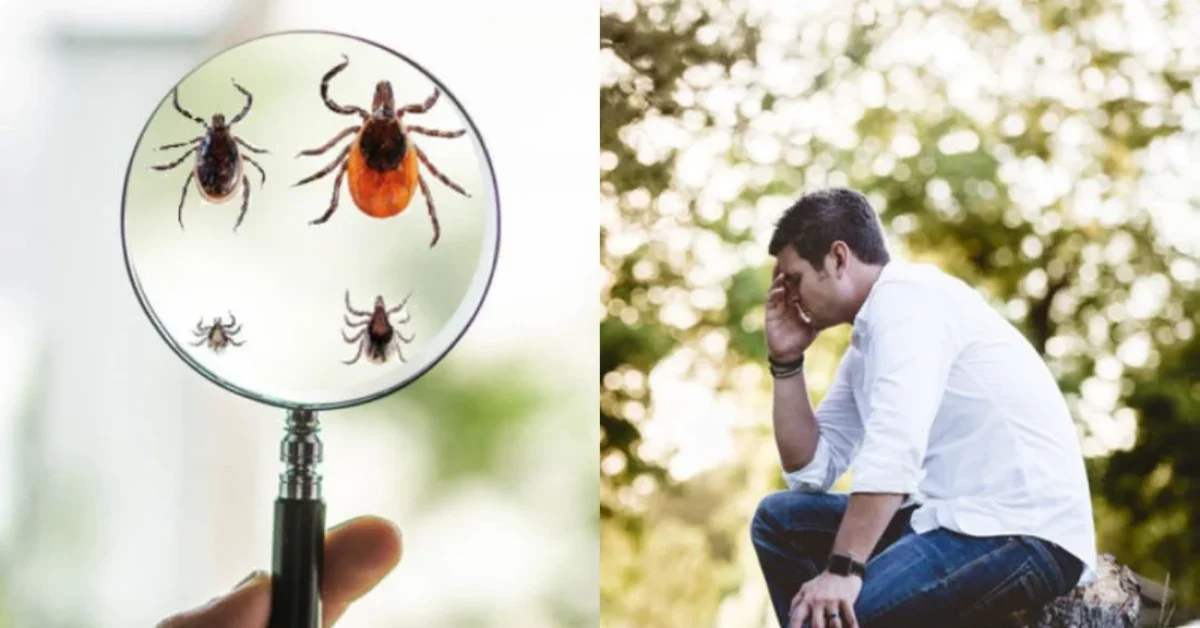 advances-in-addressing-lyme-disease-tcc-blog-may-2019-featured-image_featured img